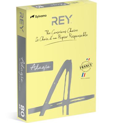 Папір кольор. А4/160 (250арк.) паст. Canary 49 (світло-жовтий) REY Adagio