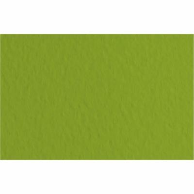 Бумага для пастели Tiziano A4 (21*29,7 см), №43 pistacch, 160г/м2, темно-коричневый, среднее зерно,Fabriano Бумага для пастели Tiziano A4 (21*29,7 см), №43 pistacch, 160г/м2, темно-коричневый, среднее зерно,Fabriano