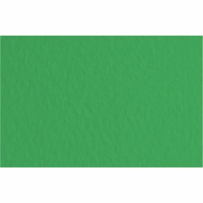 Бумага для пастели Tiziano A3 (29,7*42см), №12 prato, 160г/м2, зеленый, среднее зерно, Fabriano Бумага для пастели Tiziano A3 (29,7*42см), №12 prato, 160г/м2, зеленый, среднее зерно, Fabriano