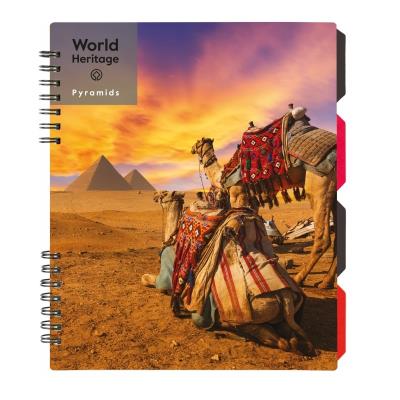 Блокнот "World Heritage", B5 (170х205), пластиковая обкл., Спираль, с разделителями, 120 листов, клетка, O20356-25 Блокнот "World Heritage", B5 (170х205), пластиковая обкл., Спираль, с разделителями, 120 листов, клетка, O20356-25
