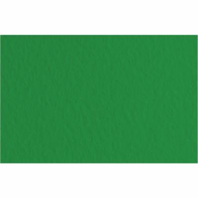 Папір для пастелі Tiziano A3 (29,7*42см), №37 biliardo, 160г/м2, зелений, середнє зерно, Fabriano (1) Папір для пастелі Tiziano A3 (29,7*42см), №37 biliardo, 160г/м2, зелений, середнє зерно, Fabriano (1)