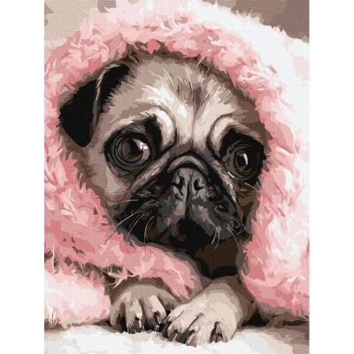 Набір для розпису по номерах "Закутаний Мопс" 30х40см