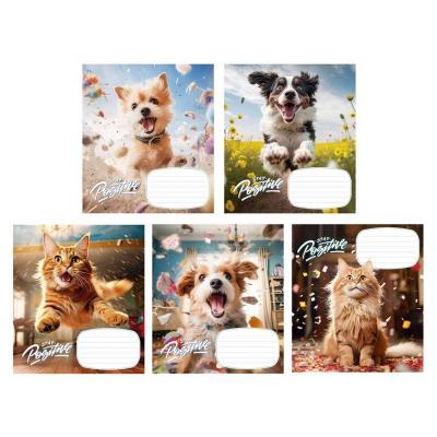 Зошит учнівський, 12арк., у клітинку, ВД-лак, Школярик