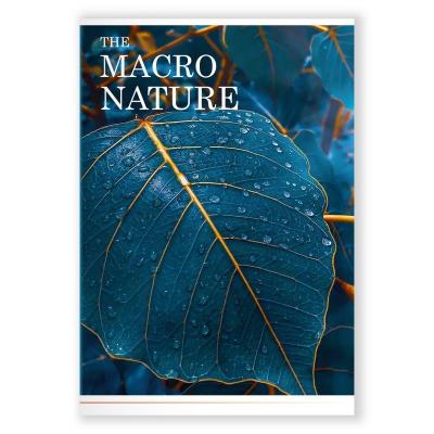 Зошит загальний А4, 96 арк., кліт., скоба "Листок"