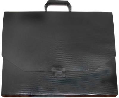 Портфель пластиковый на застежке Economix 31616, A3, 1 отделение, черный
