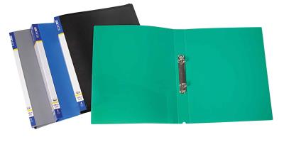 Папка пластиковая Economix 30701-10, А4, 2 кольца, серый Папка пластиковая Economix 30701-10, А4, 2 кольца, серый