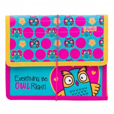 Папка для зошитів 1Вересня пласт. на резинці В5 "Owl" Папка для зошитів 1Вересня пласт. на резинці В5 "Owl"