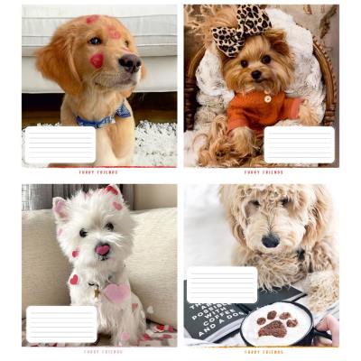 Зошит учнівський повноколірний 12 арк., клітинка. "Пухнастий друг"