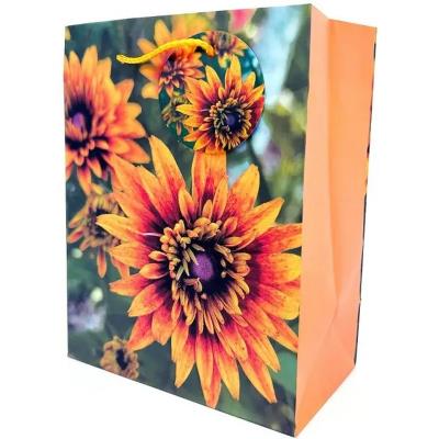 Пакет паперовий 18х23х10 см, GB-24130