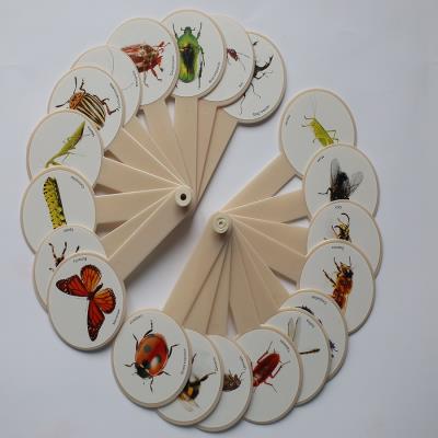 Веер "Насекомые" Веер "Насекомые"