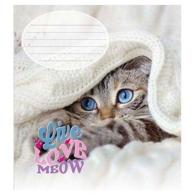 Зошит учнівський повноколірний 12 арк., клітинка. "Щасливий кіт"