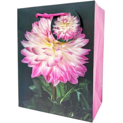 Пакет паперовий 18х23х10 см, GB-24126 Пакет паперовий 18х23х10 см, GB-24126