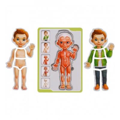 Іграшка Сортер-пазл "Анатомія людини - хлопчик"