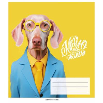 Зошит загальний, 48арк., у клітинку, ВД-лак, Школярик