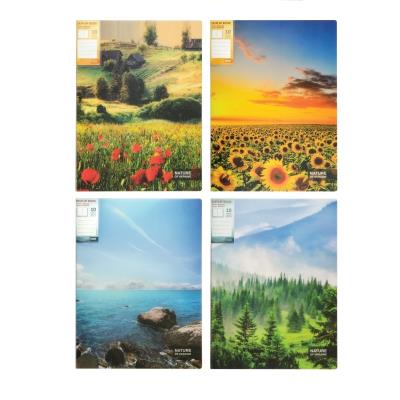 Папка А4 з 10 файлами Optima "Nature of Ukraine", асорті