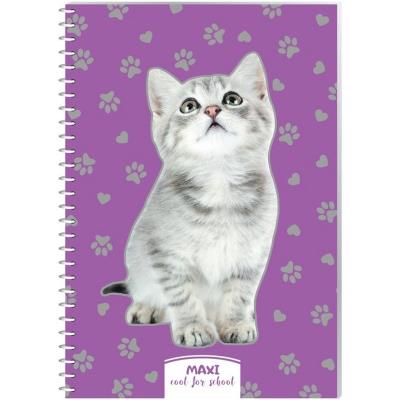 Блокнот А5, пластикова обкл., спіраль, 60 арк., клітинка