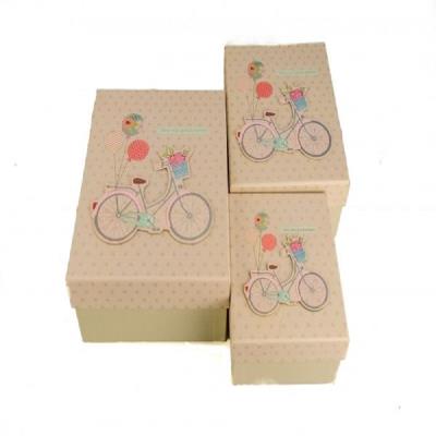 Подарочная коробка прямоугольная Велосипед 107-37/3 Подарочная коробка прямоугольная Велосипед 107-37/3