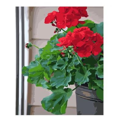 Набір для розпису по номерах VA-3326 "Домашня герань", з лаком та рівнем розміром 40х50 см Набір для розпису по номерах VA-3326 "Домашня герань", з лаком та рівнем розміром 40х50 см