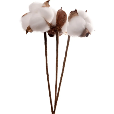 Гілка декоративна Yes! Fun "Бавовна" 3 шт/пучок, 30 см Гілка декоративна Yes! Fun "Бавовна" 3 шт/пучок, 30 см