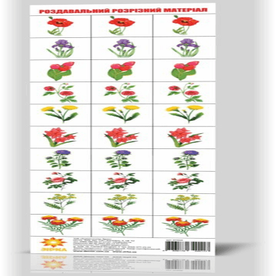 Розрізний матеріал Квіти (1/100) Розрізний матеріал Квіти (1/100)