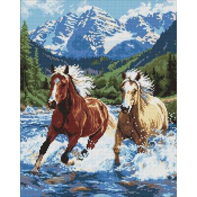 Набір з алмазною мозаїкою "Сила у русі" 40х50см Набір з алмазною мозаїкою "Сила у русі" 40х50см