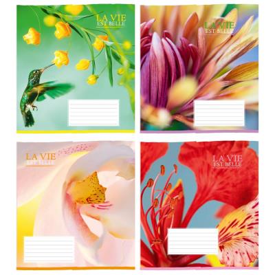 Зошит учнівський повноколірний 18 арк., лінія. "Гарні квіти"