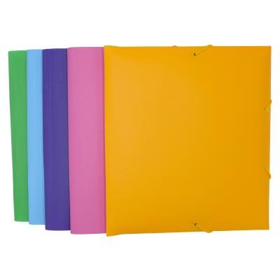 Папка пластикова В5 на гумках Economix, фактура "діамант", асорті (1/20) Папка пластикова В5 на гумках Economix, фактура "діамант", асорті (1/20)