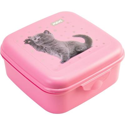 Ланч-бокс (контейнер для їжі) 850 мл