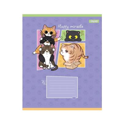 А5/18 кл. 1B Fluffy miracle, зошит учнівський шкільний