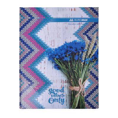 Книга учета "ROMANTIC" 96 листов, клетка, офсетная бумага (твердая ламинированная обложка), А4, синий Книга учета "ROMANTIC" 96 листов, клетка, офсетная бумага (твердая ламинированная обложка), А4, синий