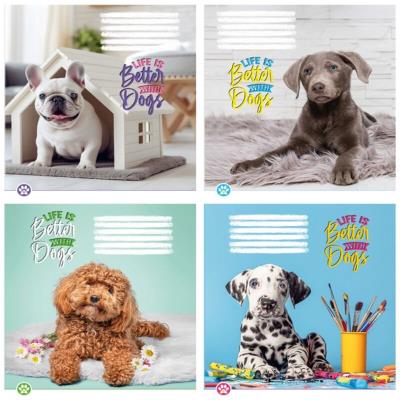 Зошит учнівський повноколірний 12 арк., клітинка. "Життя чудове"