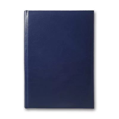 Дневник "INFOLK-MIRADUR" 168л.синий., ЗВ-63 (142*203)