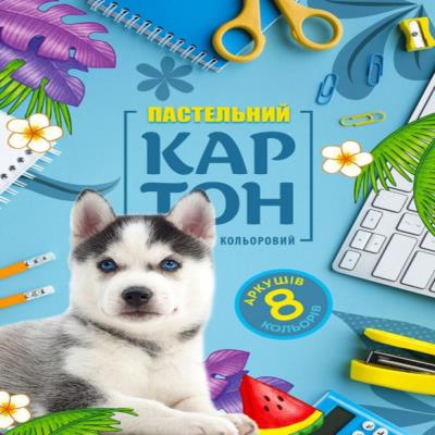 Набір картону кольорового одностороннього пастельний 210х297 мм, 8 аркушів. в папці.22114