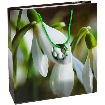 Пакет паперовий 35х37х12 см, GB-24174