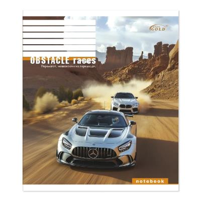 Зошит учнівський 18арк.ТМ "Gold Brisk" клiтинка УФ-лак, блок 60 г/м №3516 Мiй драйв