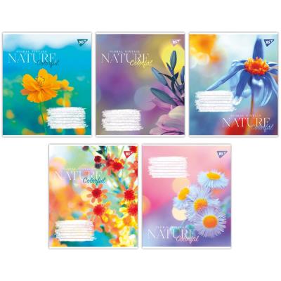 А5/24 лін. Yes Nature colorful, зошит учнів.