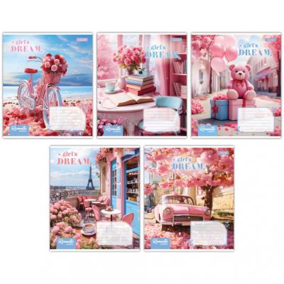 А5/24 кл. 1B Girls dream, зошит учнів.