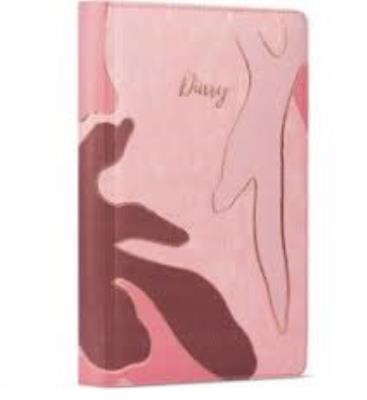 Дневник Intensivo Дневник Intensivo