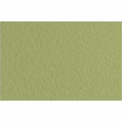 Бумага для пастели Tiziano A4 (21*29,7 см), №14 muschio, 160г/м2, оливковый, среднее зерно, Fabriano Бумага для пастели Tiziano A4 (21*29,7 см), №14 muschio, 160г/м2, оливковый, среднее зерно, Fabriano