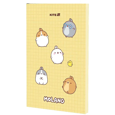 Блокнот, термобіндер А5, 64арк. ML