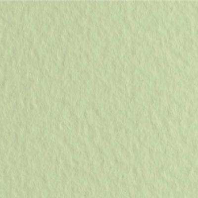 Папір для пастелі Tiziano A4 (21*29,7см), №11 verduzzo, 160г/м2, салатовий, середнє зерно, Fabriano (1) Папір для пастелі Tiziano A4 (21*29,7см), №11 verduzzo, 160г/м2, салатовий, середнє зерно, Fabriano (1)
