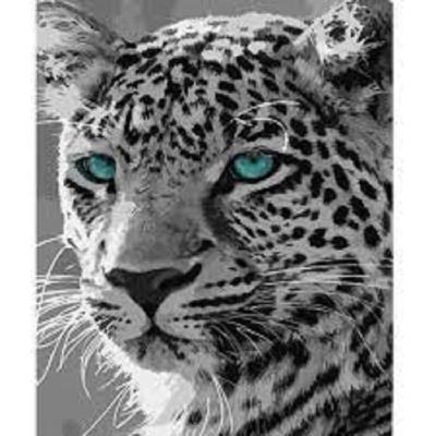 Набор для росписи по номерам Черно-белый Strateg гепард размером 40х50 см (HH029)