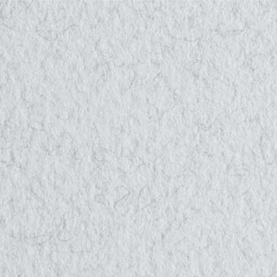 Папір для пастелі Tiziano A4 (21*29,7см), №32 brina, 160г/м2, білий, середнє зерно, Fabriano (1) Папір для пастелі Tiziano A4 (21*29,7см), №32 brina, 160г/м2, білий, середнє зерно, Fabriano (1)