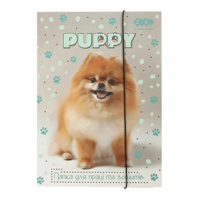 Папка для праці та зошитів DOG, картонна, на гумці А4 (225x316мм), KIDS Line
