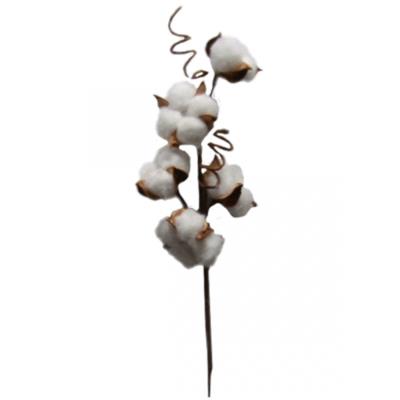 Гілка декоративна Yes! Fun "Бавовна" 30см Гілка декоративна Yes! Fun "Бавовна" 30см