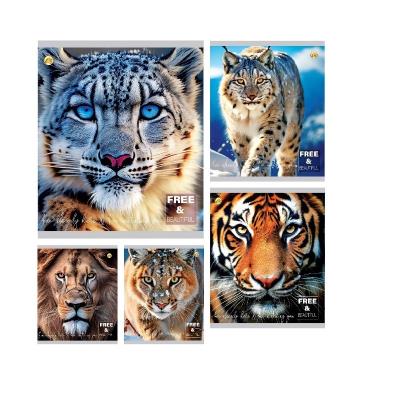 Зошит 48 арк.клітинка Тверда 41504 Звірі, 5к.,10/200