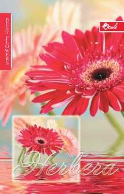 Блокнот в твердій обкладинці мікс А6 80 + 40 аркушів тверда обкладинка на гумці (1) Блокнот в твердій обкладинці мікс А6 80 + 40 аркушів тверда обкладинка на гумці (1)