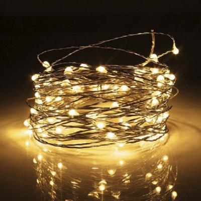 Гірлянда LED 2 метра