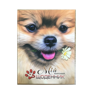 Щоденник SD1739, 165*208 мм обкладинка 7БЦ, 40 аркушів