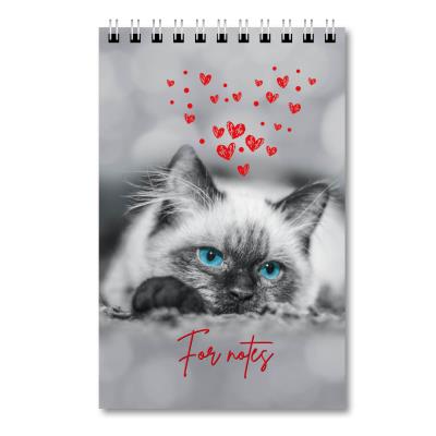 Блокнот А6 (100х155), 48 арк., клітка, обкл.картон, спіраль, "Кіт"